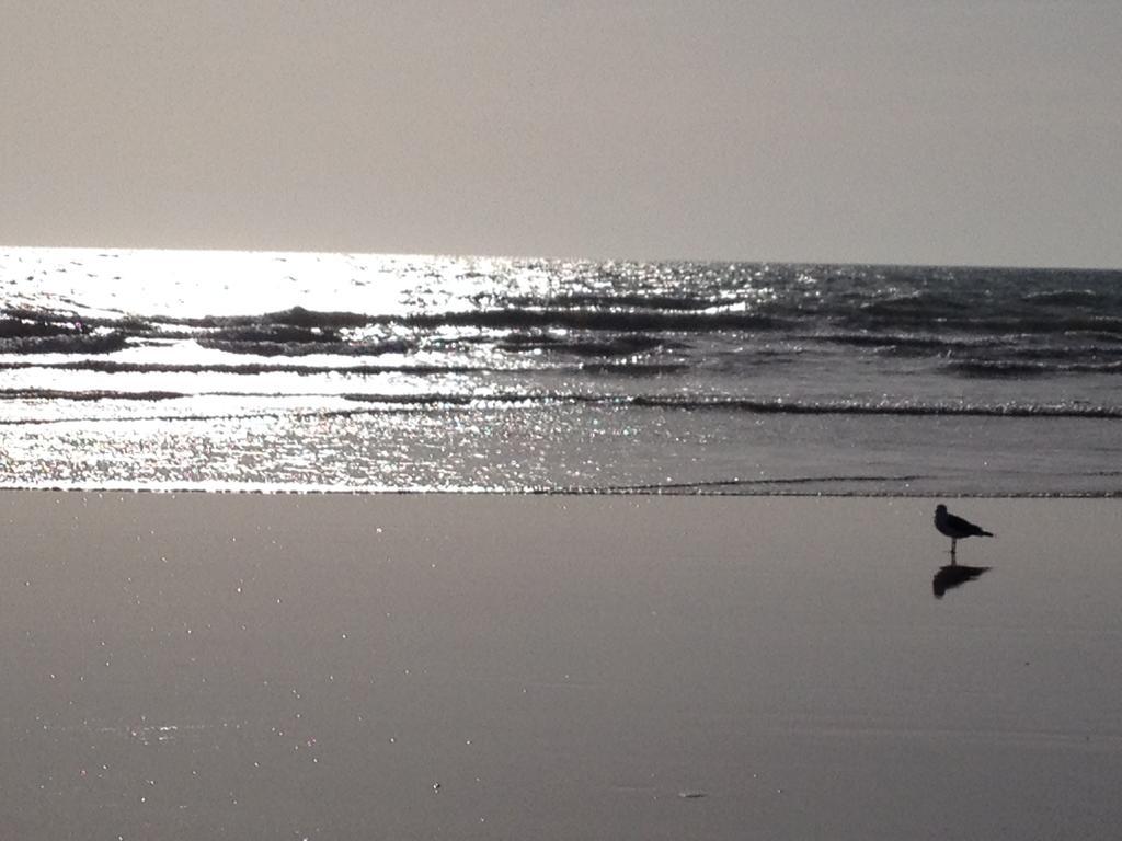 Vendee Vue Mer サンティレール・ド・リエ エクステリア 写真